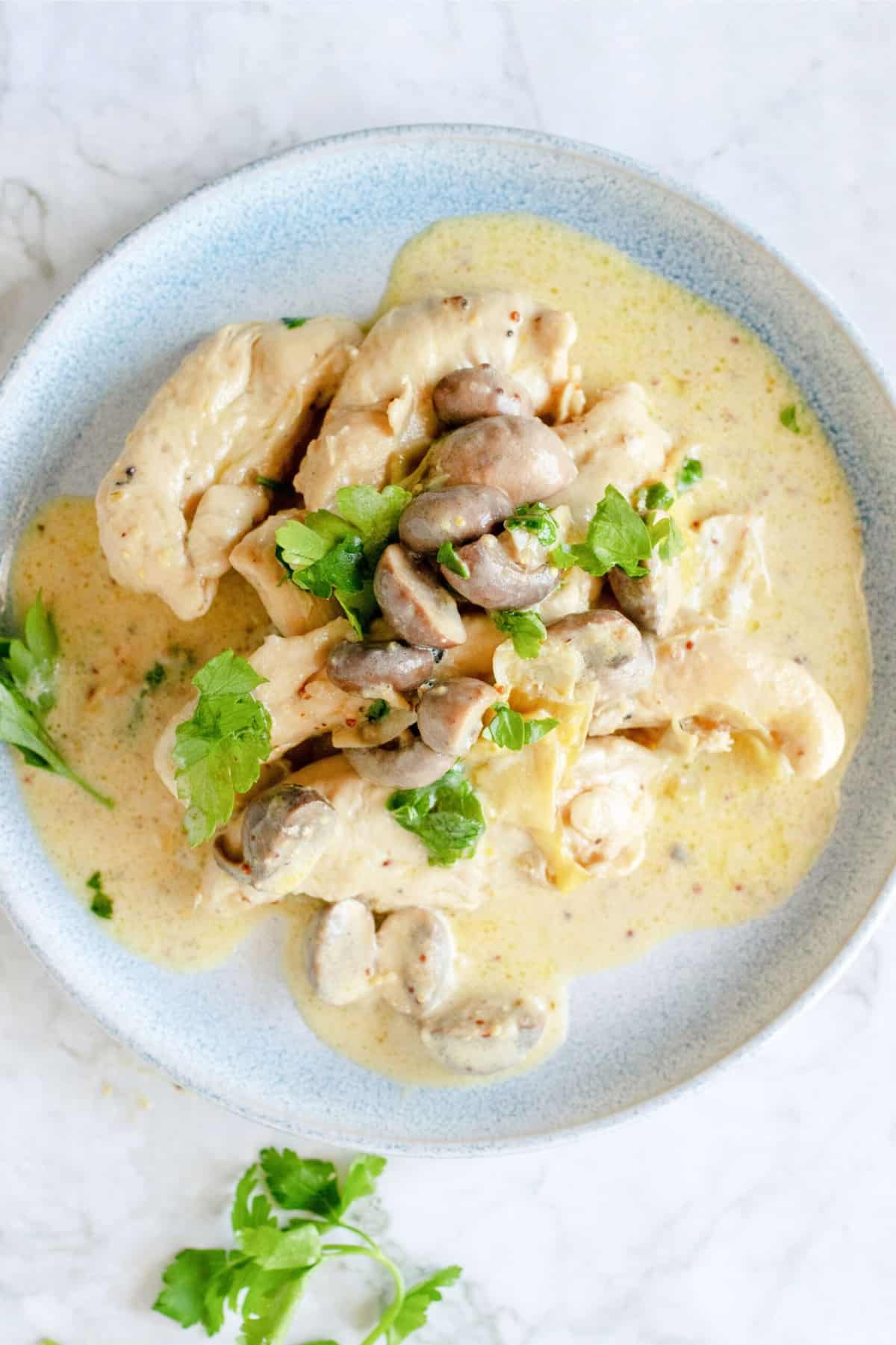 light blue plate with a portion of chicken dijon - chicken, mushrooms, artichokes, parsley and creamy mustard sauce