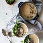 Keto Beef Stroganoff Soup | Peace Love and Low Carb