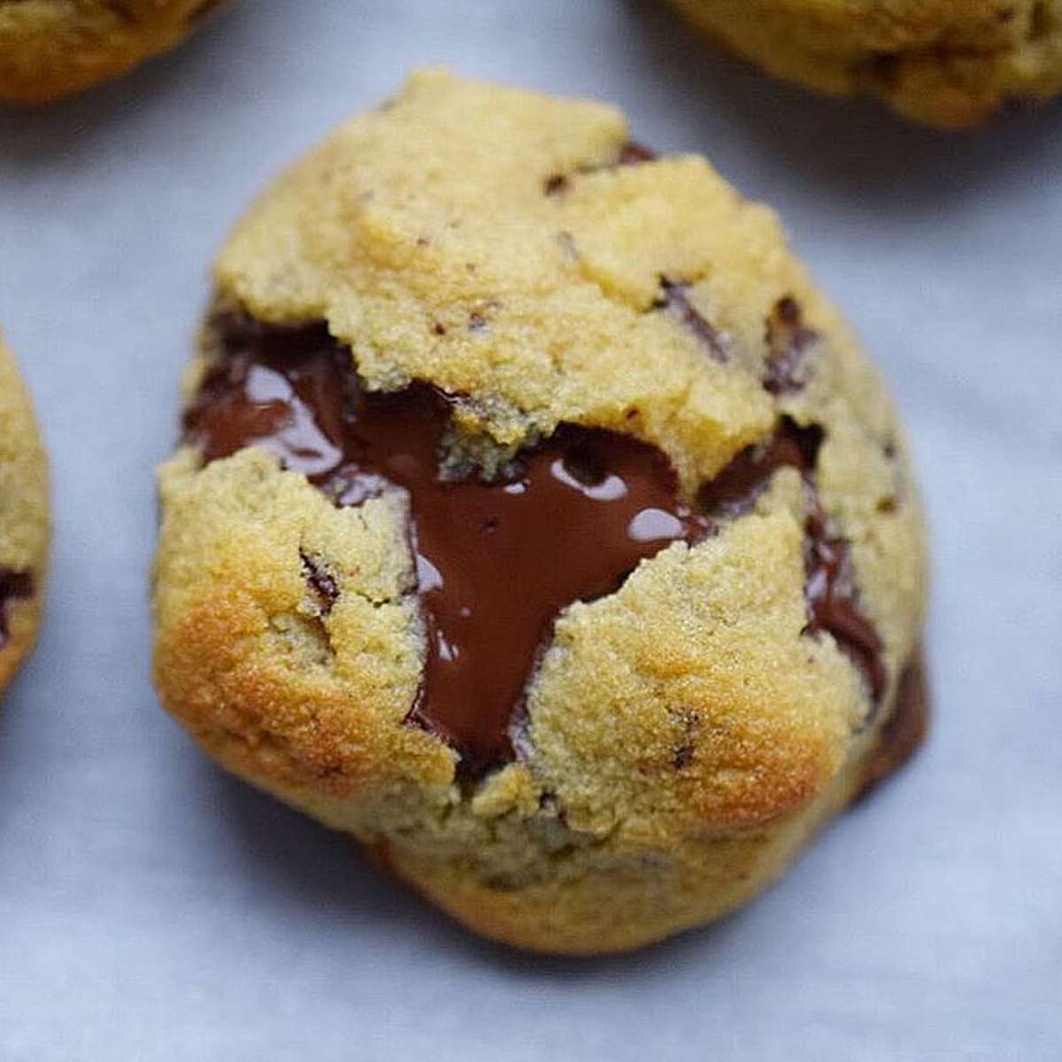 gooey chocolate chip cookies