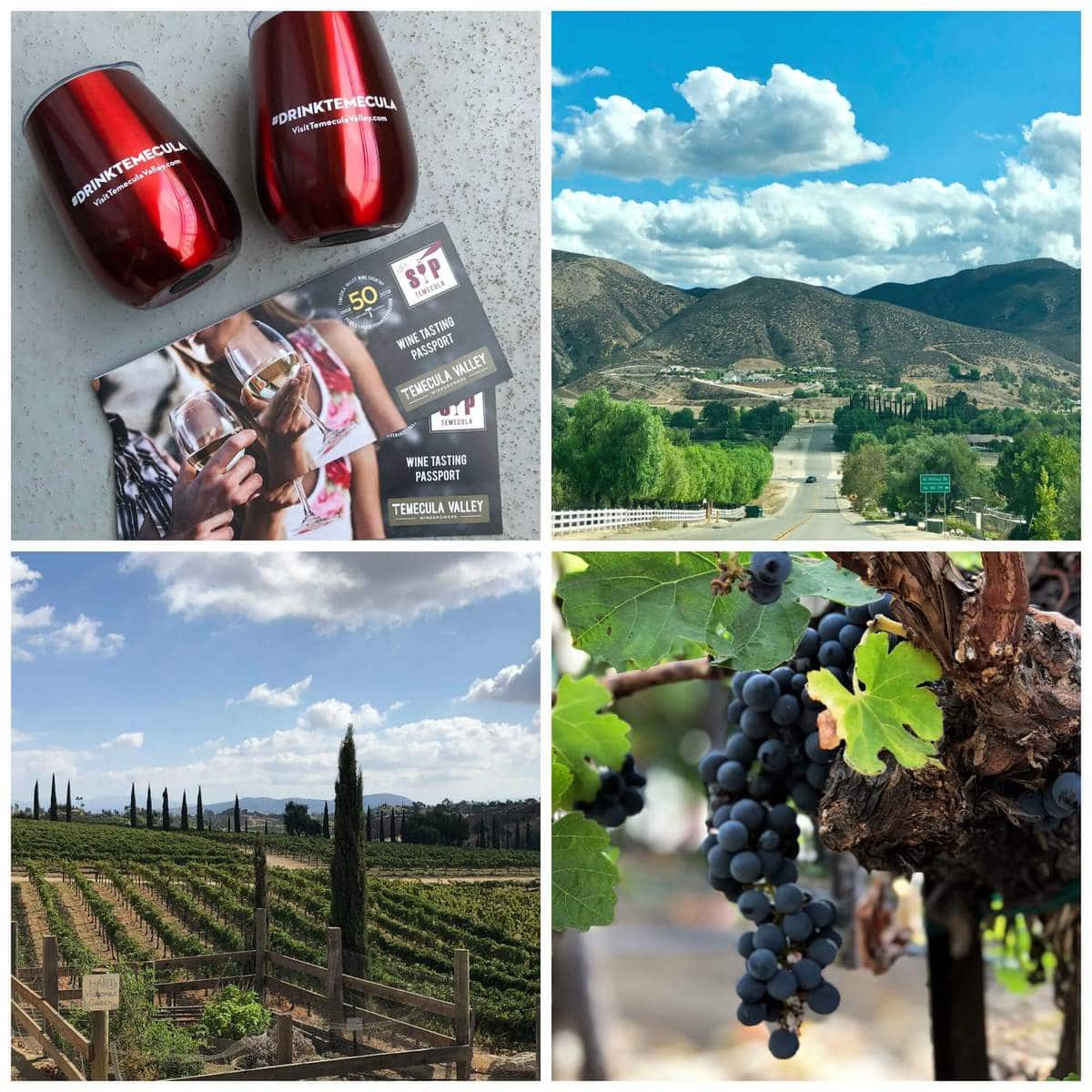 Things to do in Temecula - Wine Tasting | Peace Love and Low Carb