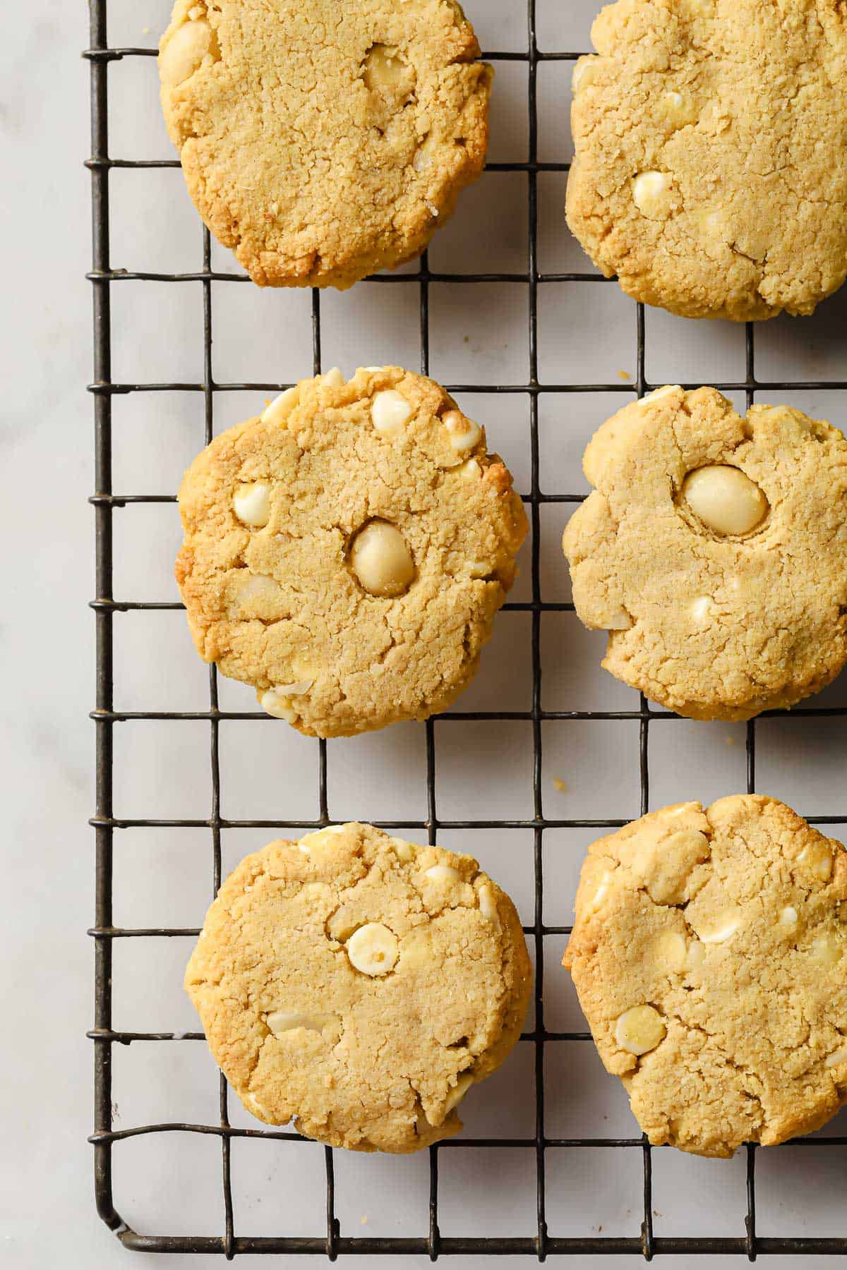 keto white chocolate macadamia nut cookies fresh out of the oven
