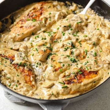 a cast iron skillet with seared chicken in a rich and creamy sour cream sauce, with mushrooms and onions.